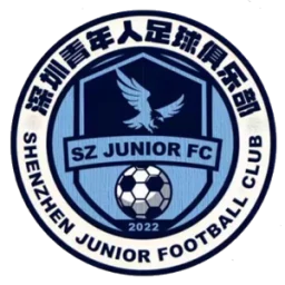 深圳青年人